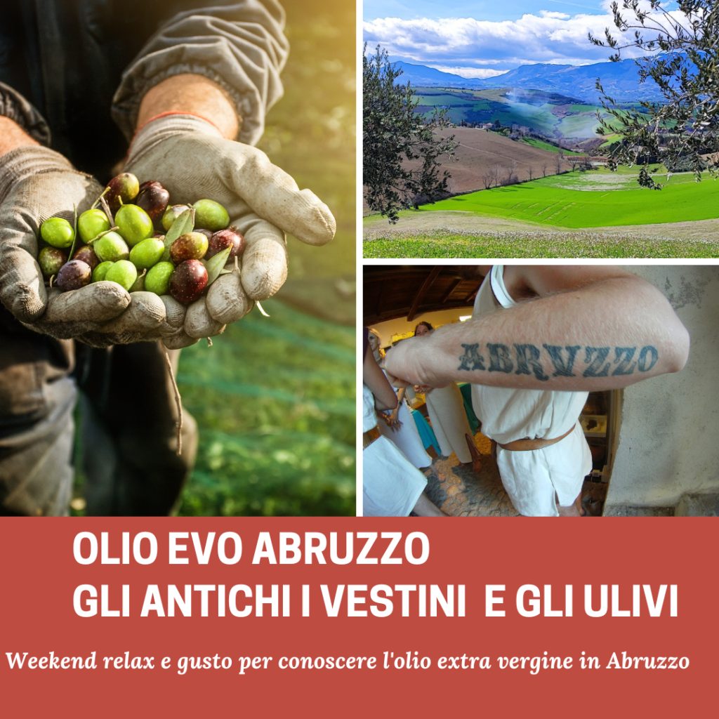 Olio Abruzzo e antichi Vestini : Weekend relax e gusto tra gli ulivi secolari