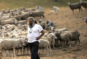 i pastori in Abruzzo